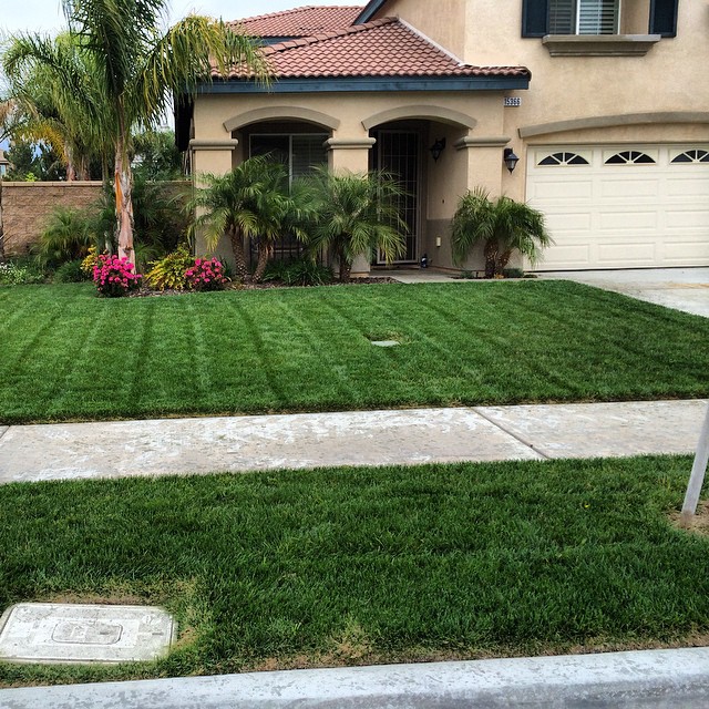 Get your monthly services and I guarantee you'll have the best looking yard in your neighborhood